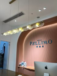 -派丽莫Pellimo原创设计婚纱品牌