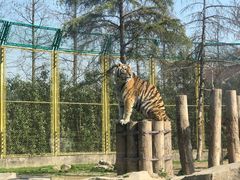 -上海野生动物园