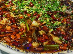 来凤鱼-新概念来凤鱼(璧山店)
