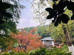 -新洲生态园