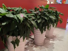 -牛物鲜切牛肉火锅(宜家荟聚店)
