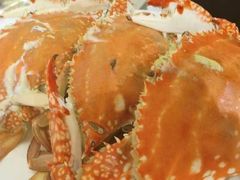 -北塘海鲜·天津菜(大光明桥旗舰店)