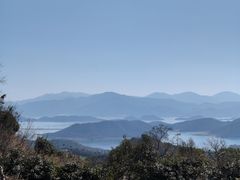 -黄贤森林公园