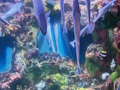 -宁波海洋世界-售票处