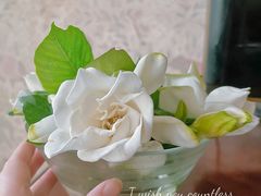 -碧云国际社区·晓园