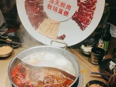 -手选潮汕鲜牛肉火锅(二七广场店)