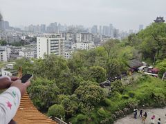-黄鹤楼公园(黄鹤楼)