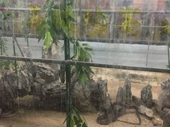 -荔城生鲜盛宴(番禺旗舰店)