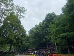 -青城山