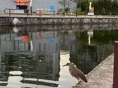 -石炮台公园