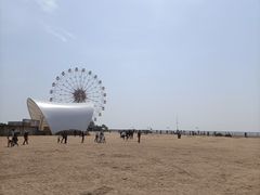 -奉贤海滩