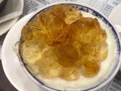 桃胶双皮奶-仁信老铺(华盖路店)