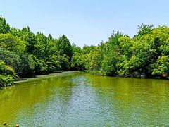 -上海吴淞炮台湾国家湿地公园