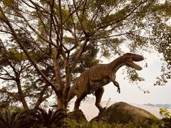 -自贡恐龙博物馆