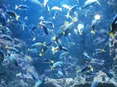 -海合安青岛极地海洋公园