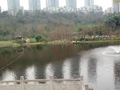 -重庆彩云湖湿地公园
