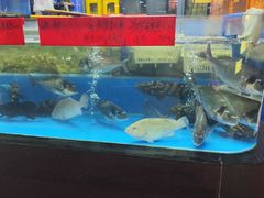 -明本湛江鸡•海鲜小厨(陈家祠店)