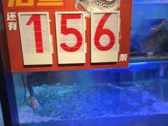 -鱼酷活鱼烤鱼(南京水游城店)