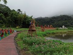 -广州市石门国家森林公园