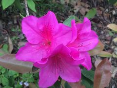 -御花园·粤菜·海鲜火锅(中山公园店)