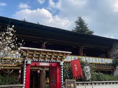-云南民族村