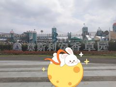 -季高兔窝窝亲子园(上海薰衣草公园店)