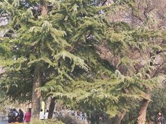 -洛阳市隋唐城遗址植物园