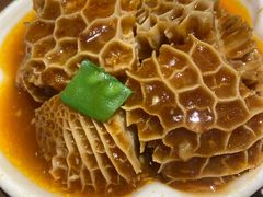 -点都德·毕德寮