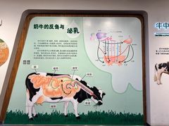 -君乐宝优致牧场