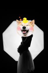 -小熊维尼高端孕婴摄影(清湖金銮店)