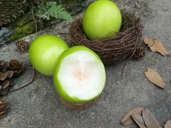 -上海龙吴水胜海发市场