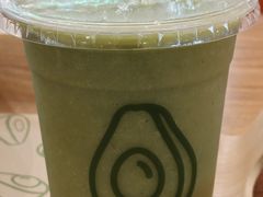 -油梨树 AVOCADO TREE(亮马桥店)