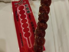 -和禄德冰糖葫芦