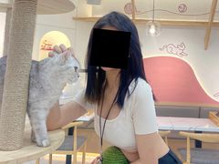 -喵园·猫主题咖啡厅·撸猫·猫咖(国贸店)