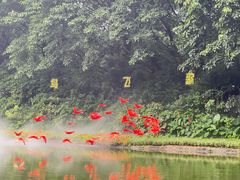 -广州长隆飞鸟乐园