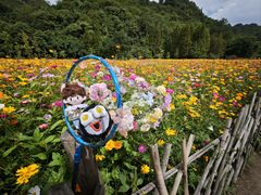 -贵阳市花溪国家城市湿地公园