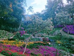 -广州市白云山风景名胜区
