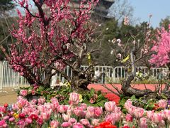 -常州天宁禅寺