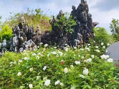 -人民公园(罗湖区)