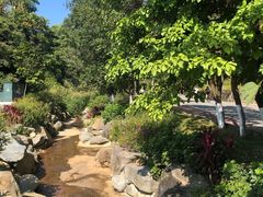 -火炉山森林公园