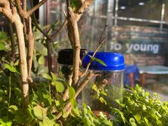 -伊隆斋(什刹海店)