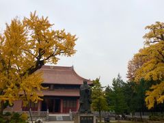 -苏州文庙(姑苏区)