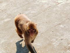 -白帝城·瞿塘峡景区