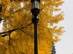 -玲珑塔公园