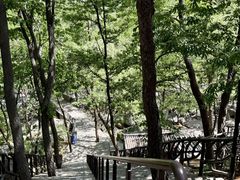 -沂蒙山旅游区云蒙景区(蒙山国家森林公园)