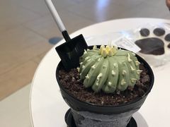 -DQ·蛋糕·冰淇淋(城南嘉园店)