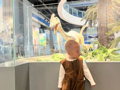 -辽宁古生物博物馆