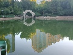-团结湖公园