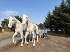 -长春公园(普阳街道)