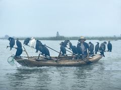 -白洋淀景区